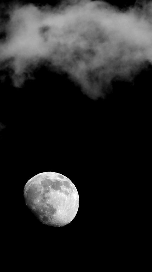 Moonlight Photograph by Karen Musick