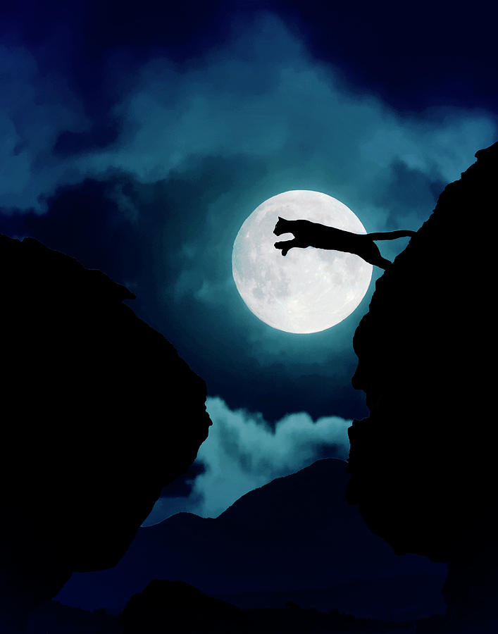 Mountain Lion Photograph - Moonlight Leap by Roy Nierdieck Mountain Lion Photograph - Moonlight Leap by Roy Nierdieck