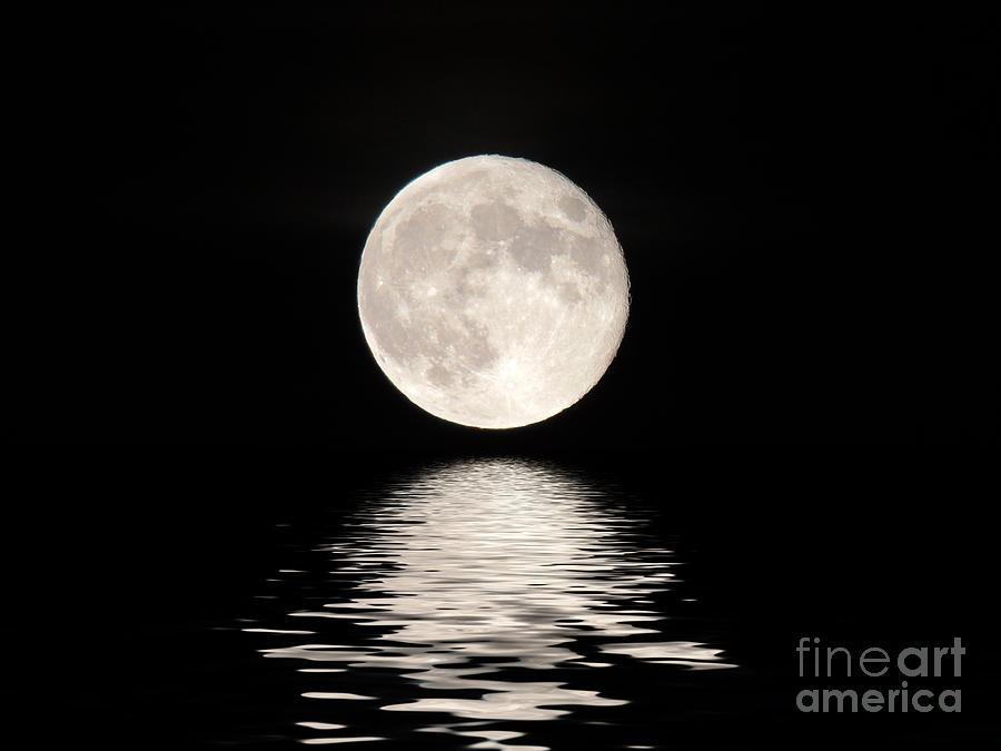 Moonlight Photograph by Mim White