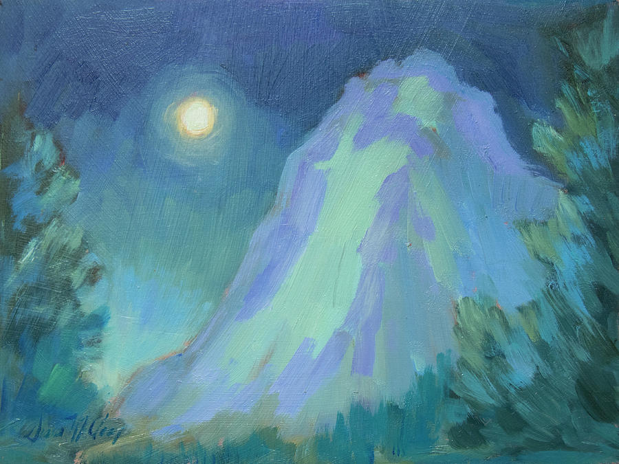 Moonlight on Lily Rock Painting by Diane McClary