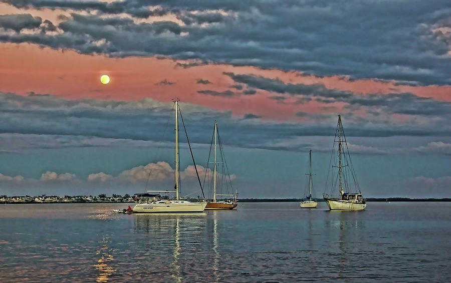 Moonlight On The Bay Photograph by HH Photography of Florida