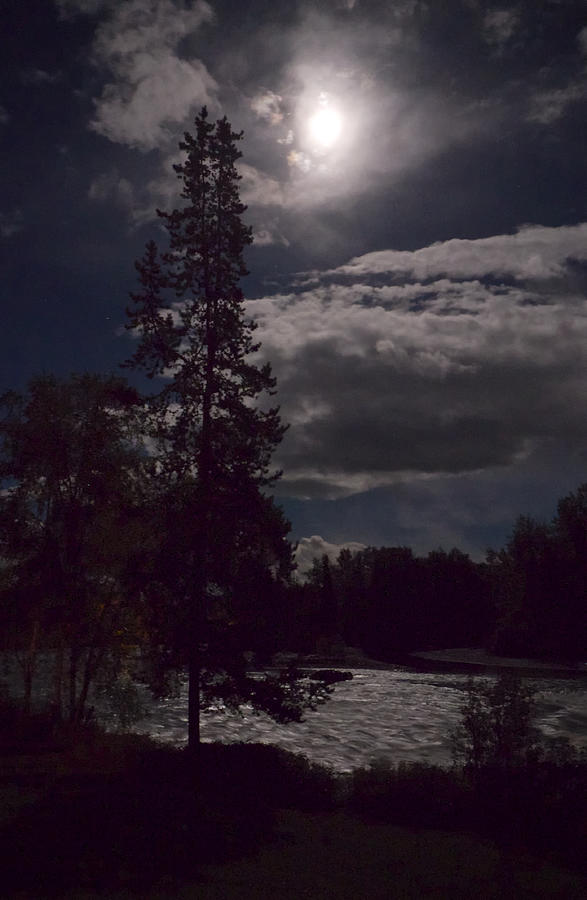 Moonlight on the River Photograph by Mary Lee Dereske