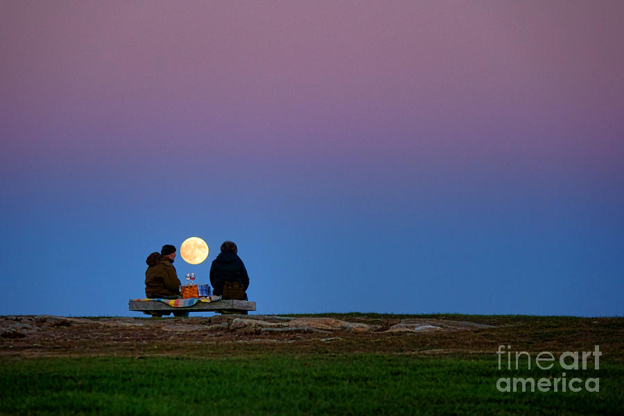 Moonlight Picnic Photograph by Olivier Le Queinec