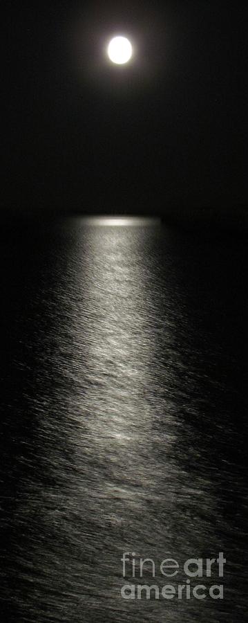 MOONLIGHT REFLECTION by Barbara Henry MOONLIGHT REFLECTION by Barbara Henry
