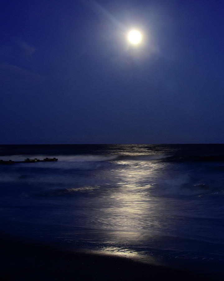 Moonlight Reflections Photograph by Dan Myers