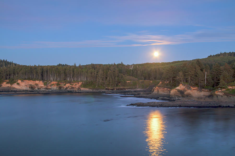 moonlight serenade