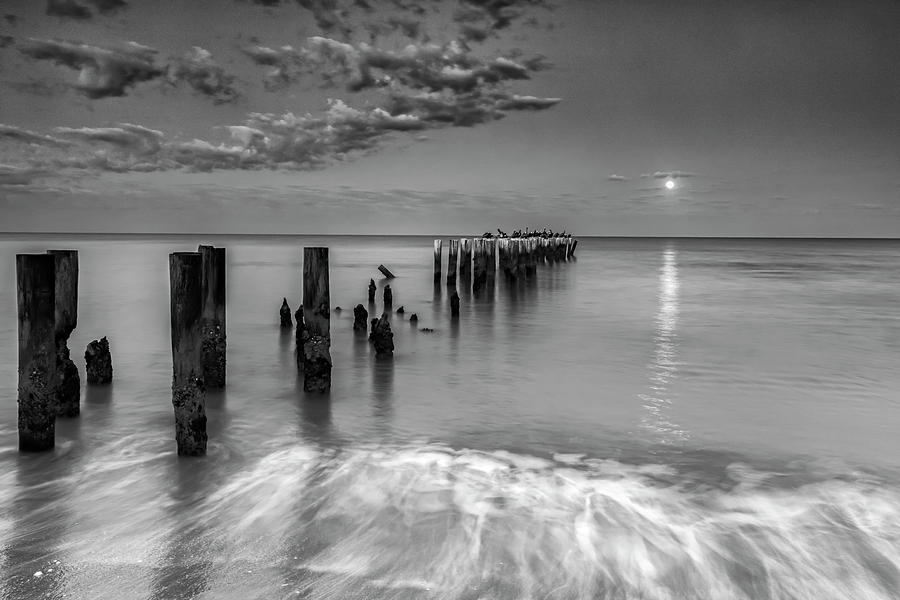Moonlight Serenade Photograph by Mike Lang