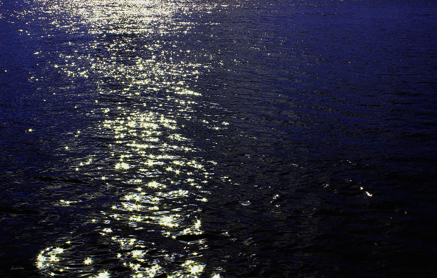 Moonlight Sparkles on the Sea Photograph by Linda Woods