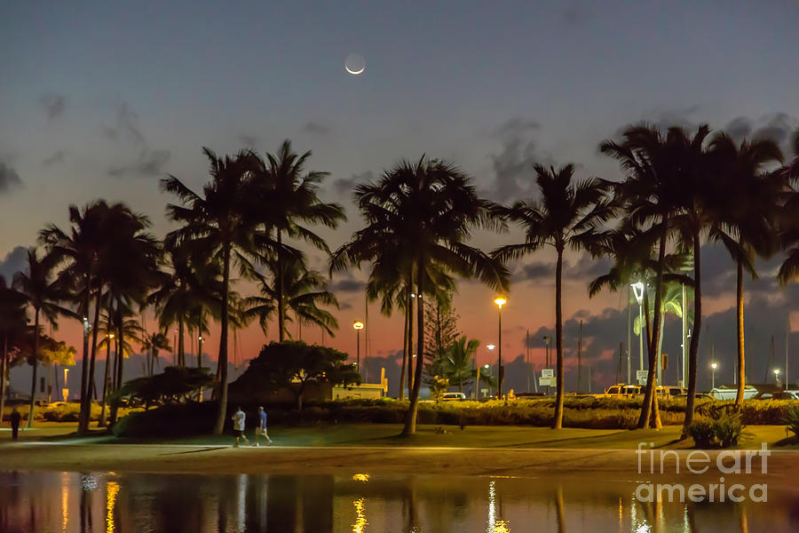 Moonlight Stroll Photograph by Jon Burch Photography