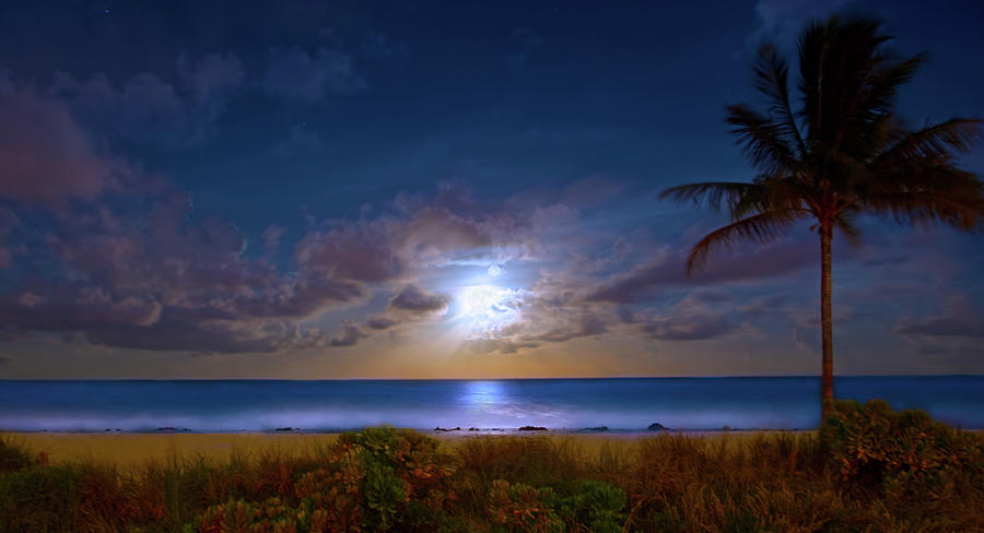 Moonlight Waves Photograph by Mark Andrew Thomas