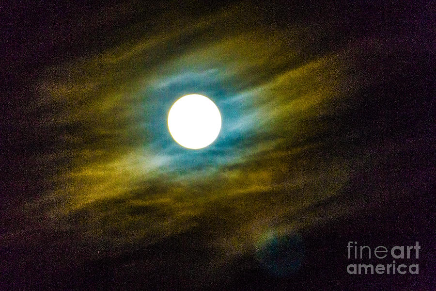 Moonlight Photograph by William Norton