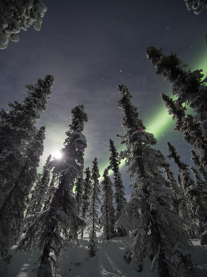 Moonlit Aurora Photograph by Ian Johnson