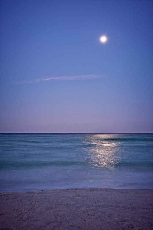 Moonlit Beach Photograph by Catherine Reading