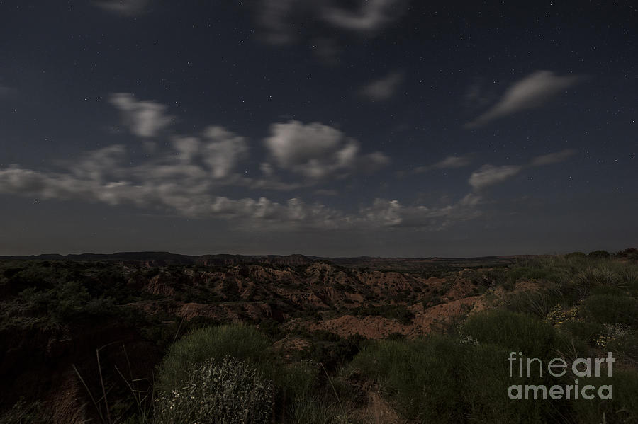 Moonlit Canyon Photograph by Melany Sarafis