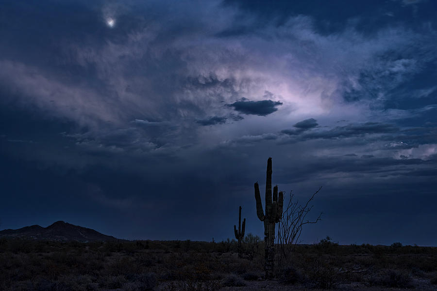 Moonlit Desert Night Photograph by Saija Lehtonen