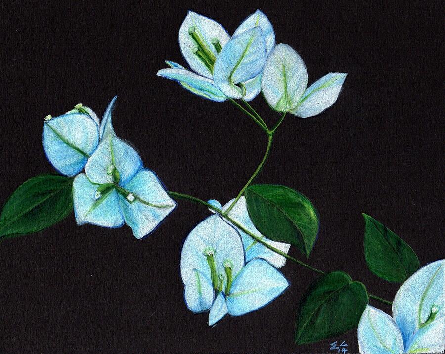 Bougainvillea Painting - Moonlit by Ekta Gupta Bougainvillea Painting - Moonlit by Ekta Gupta