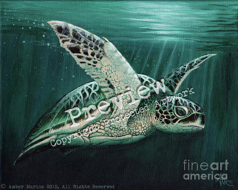 Reptile Painting - Moonlit Green Sea Turtle by Amber Marine