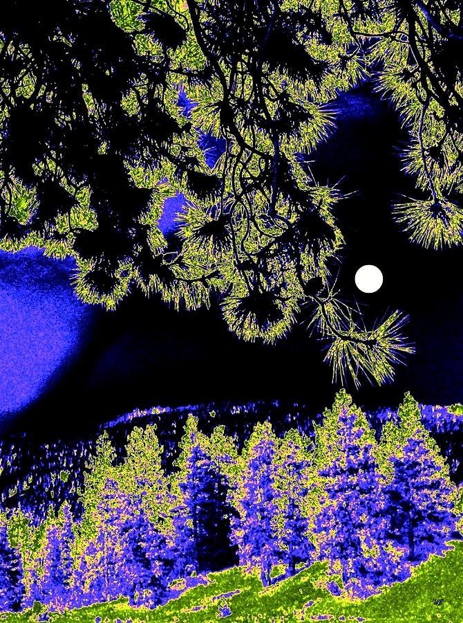 Moonlit High Country Digital Art by Will Borden