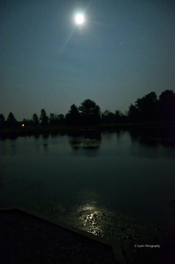 Nature Photograph - Moonlit Lake by Laura Lyster