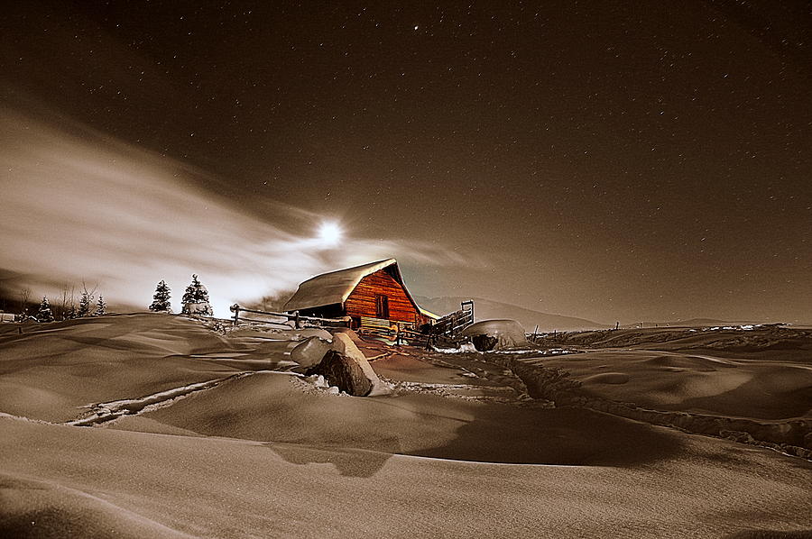 Winter Photograph - Moonlit  by Matt Helm