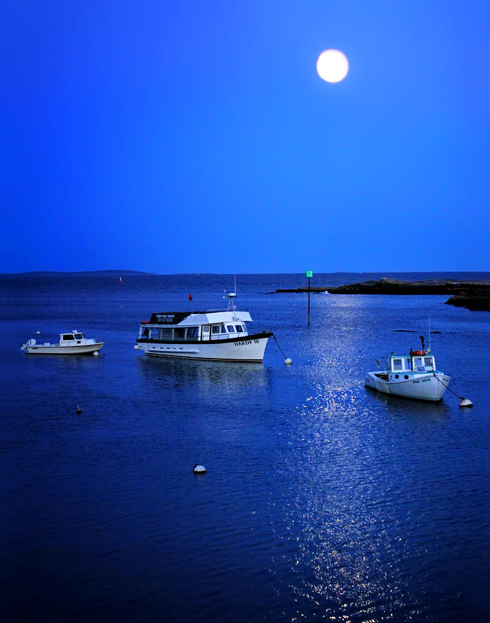 Moonlit Night in Maine Photograph by Carolyn Derstine