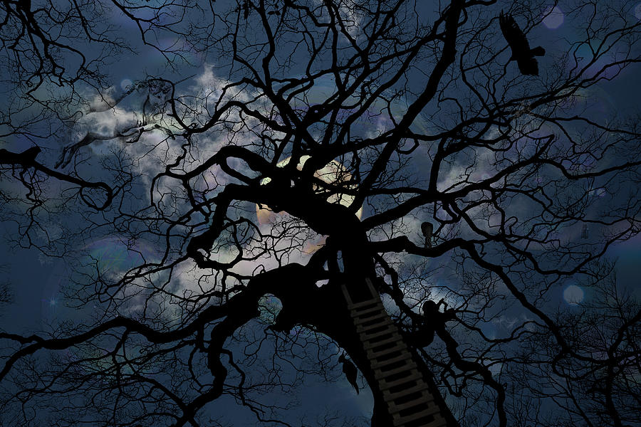 Moonlit Night Digital Art by John Haldane