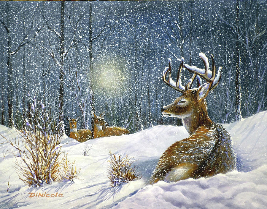 Moonlit Night - Whitetails Painting by Anthony DiNicola