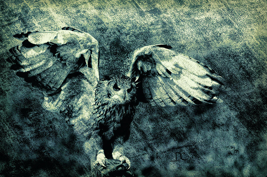 Moonlit Owl Digital Art by Diane Chandler