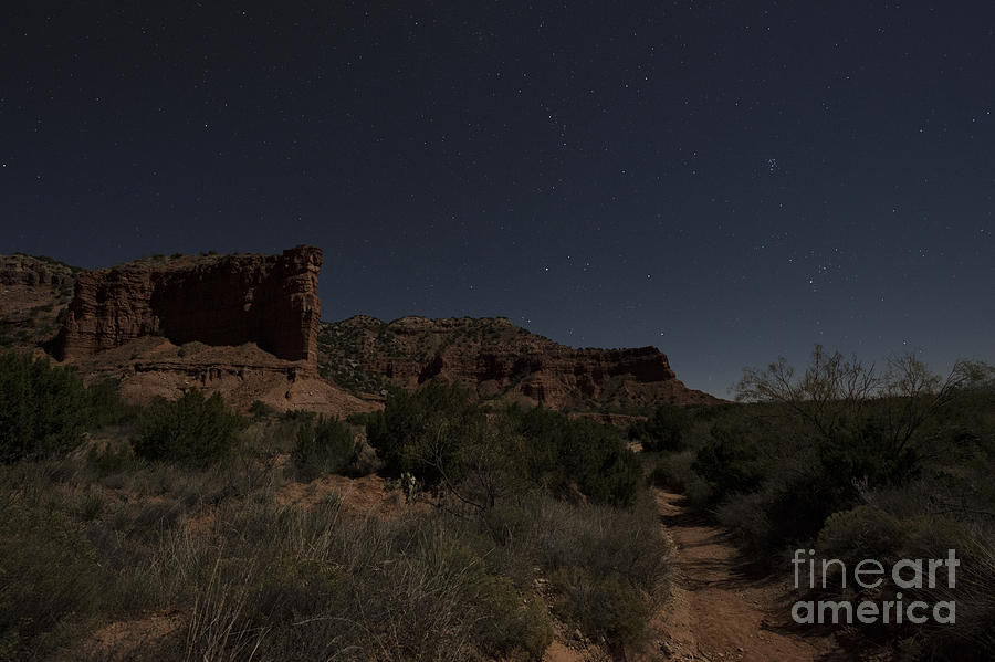 American Landmark Photograph - Moonlit Path by Melany Sarafis
