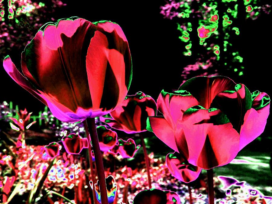 Moonlit Radiant Tulips Digital Art by Will Borden