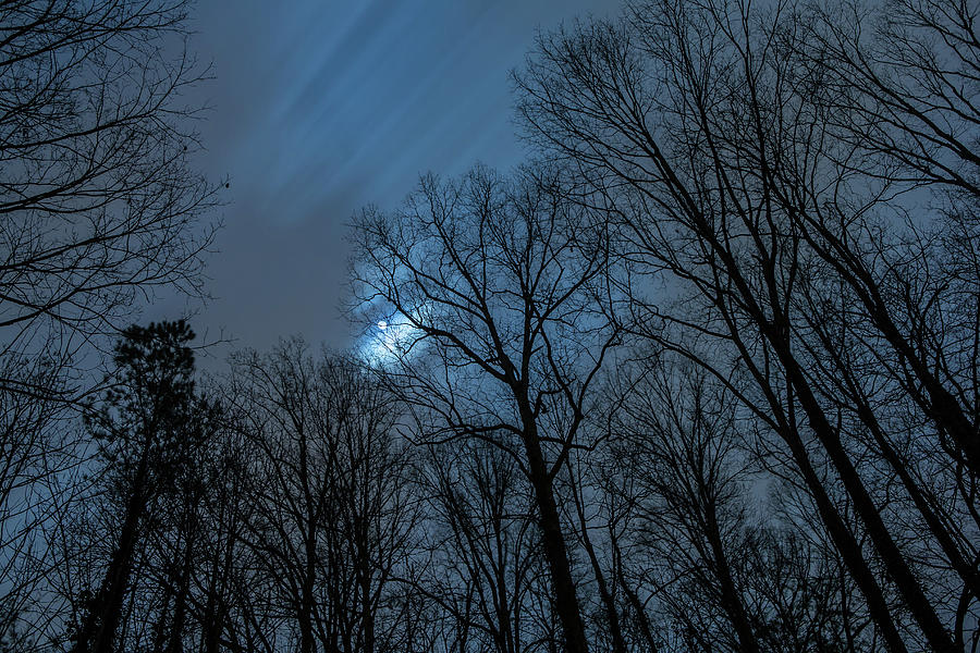 Moonlit Sky Photograph by Rod Kaye