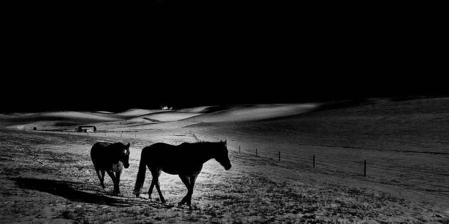 Moonlit Stroll Photograph by David Patterson