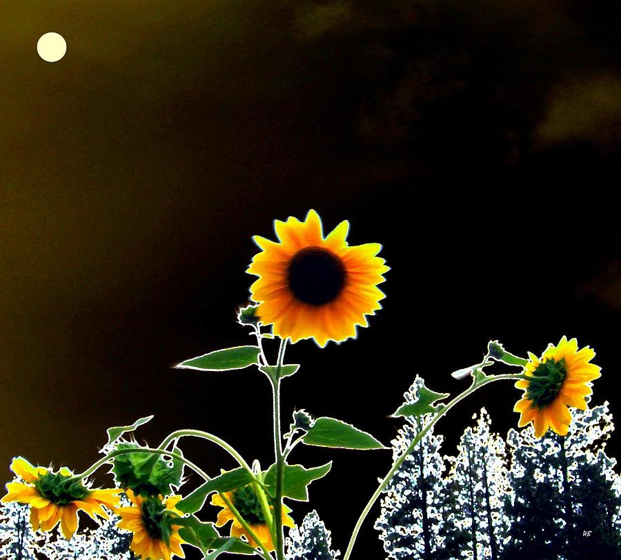 Moonlit Sunflowers Digital Art
