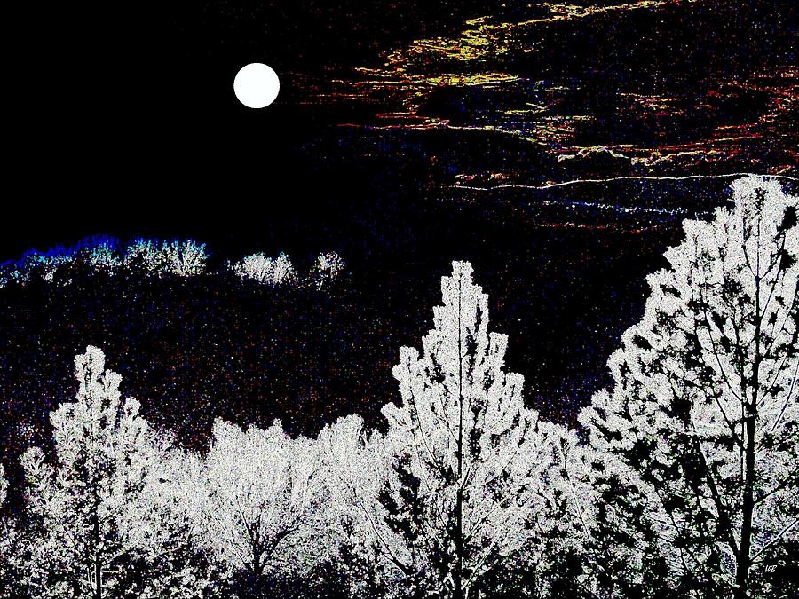 Moonlit Valley Digital Art by Will Borden