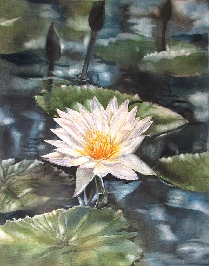 Moonlit Waterlily Painting by Alfred Ng