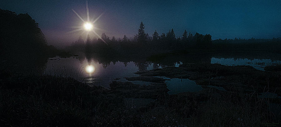Landscape Photograph - Moonlit Wetland by Marty Saccone