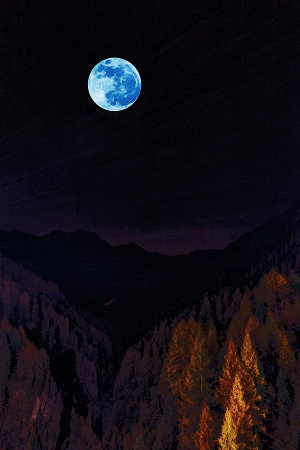 Moonlit Wilderness Painting by Celestial Images