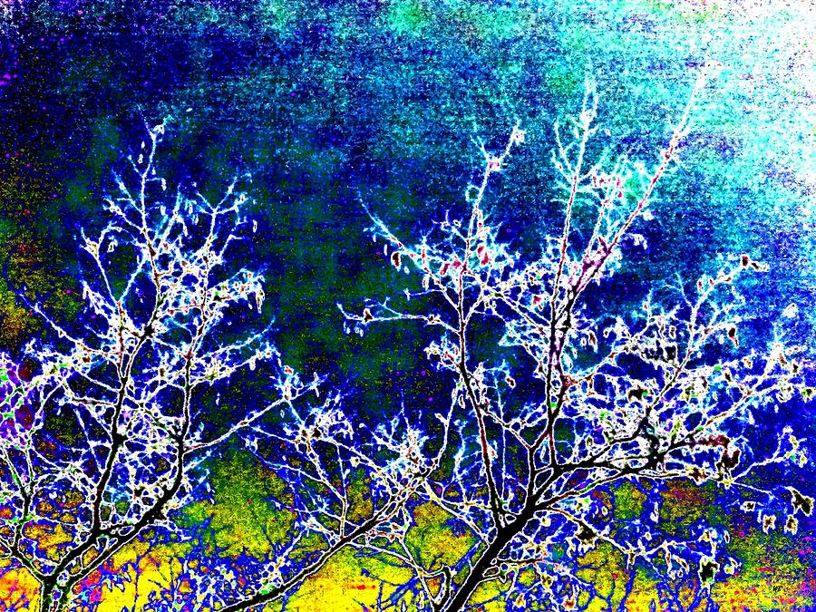 Moonlit Winter Abstract Digital Art by Will Borden