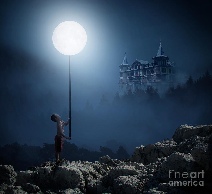 Moonplay Digital Art by Bruno Santoro