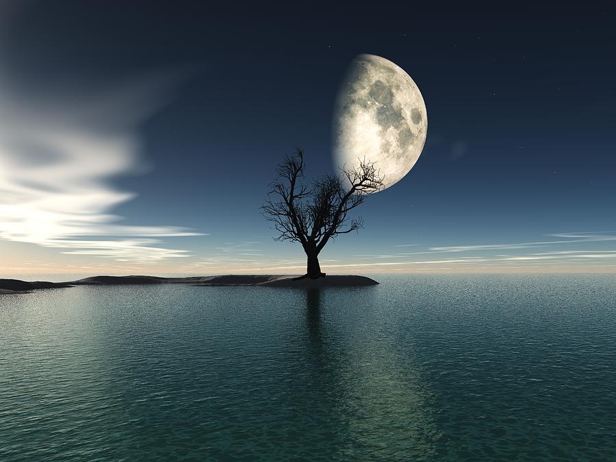 Moonrise Digital Art by Alexandra Kleist