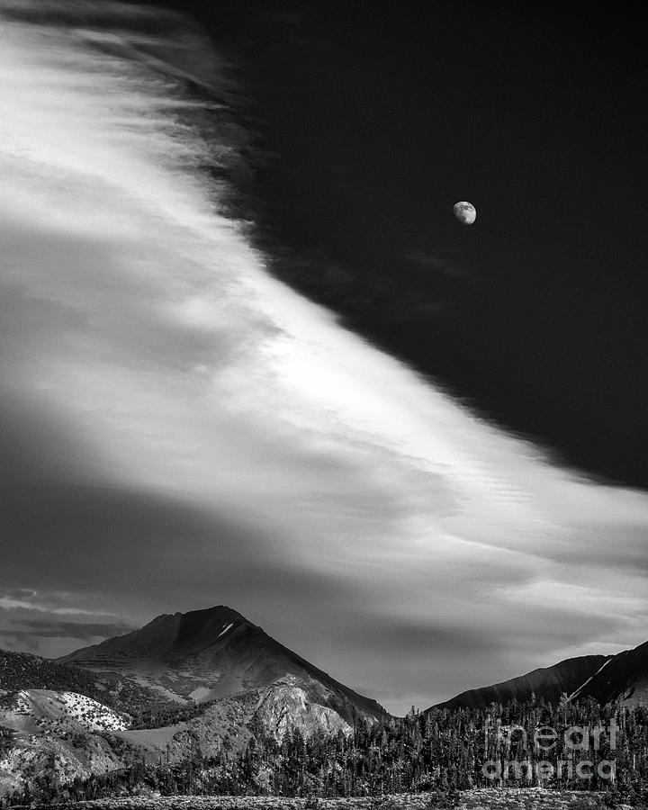 Moonrise Photograph by Anthony Michael Bonafede
