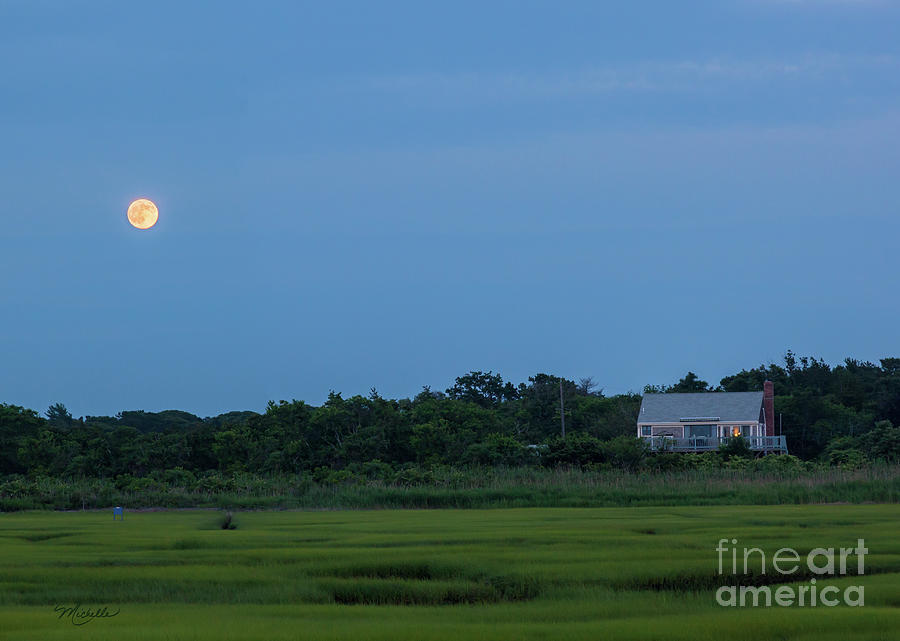 Tree Photograph - Moonrise at Grays Beach by Michelle Constantine