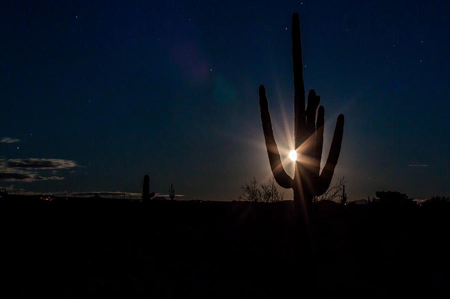 Moonrise Photograph by David Barile