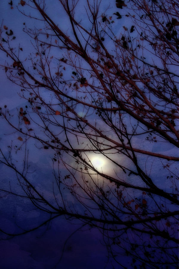 Moonrise Photograph by Ellen Heaverlo