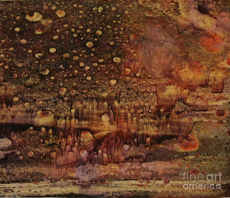 Moonrise Garden Mixed Media by Mary Chris Hines