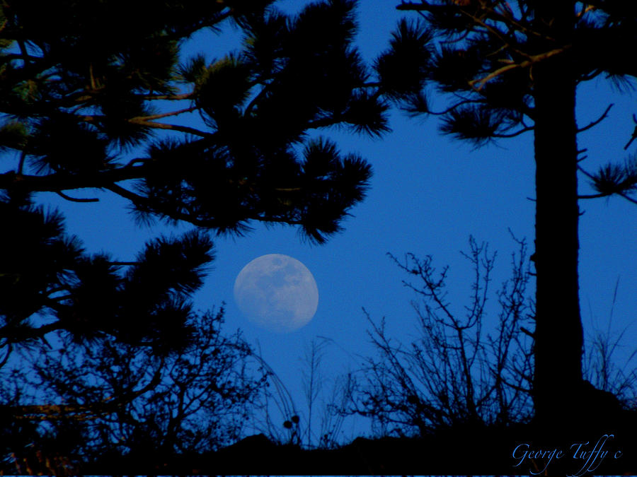 Moonrise Photograph by George Tuffy