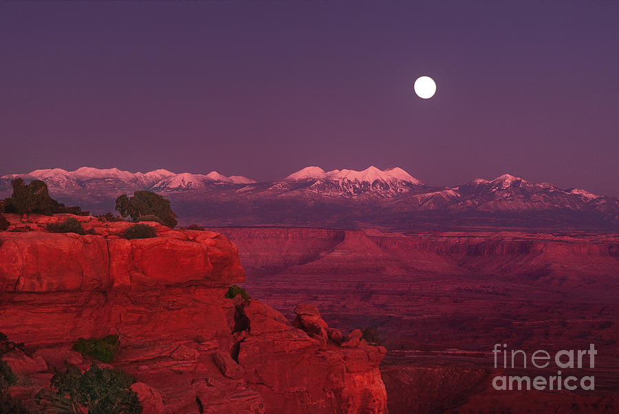 Moonrise Grandview Point Canyonlands National Park Utah Photograph by Dave Welling
