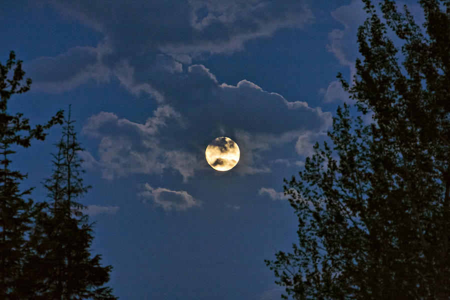 Moonrise I Photograph by Albert Seger
