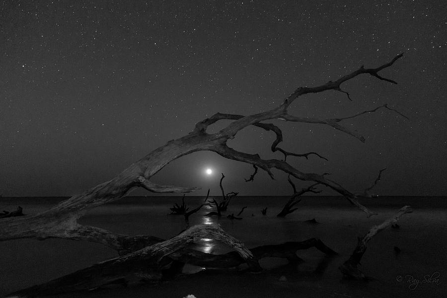 Black And White Photograph - Moonrise in Monochrome by Ray Silva