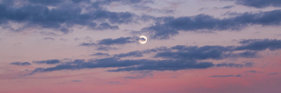 Moonrise In Pink Sky Photograph by D K Wall